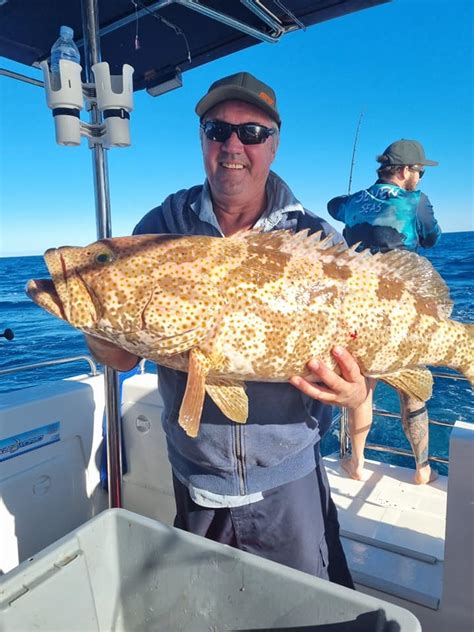 blue reef fishing charters|Reef Fishing Charters 1770 .